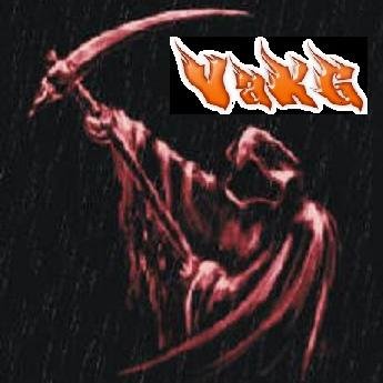 THE WORLD OF CONSOLE ONLINE GAMING. WE ARE A GROUP OF ONLINE GAMERS WHO ARE KNOWN AS VaK GAMING or A.K.A Va Killas. OUR NAME CAME FROM THE STATE OF VIRGINIA.
