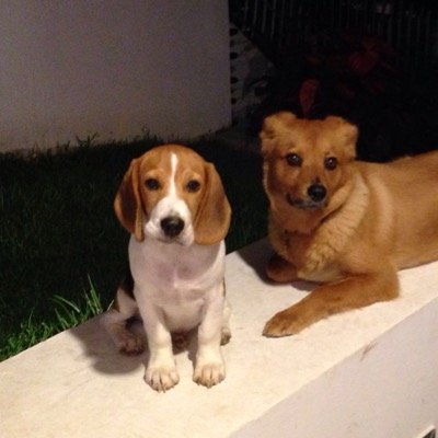 MLajusticia's profile picture. 