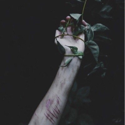 cuttingmywirst's profile picture. A paper,a person, a promise. I have more books than friends. Sue. Cat. Deb. If you follow me,i follow you. Cutting me.