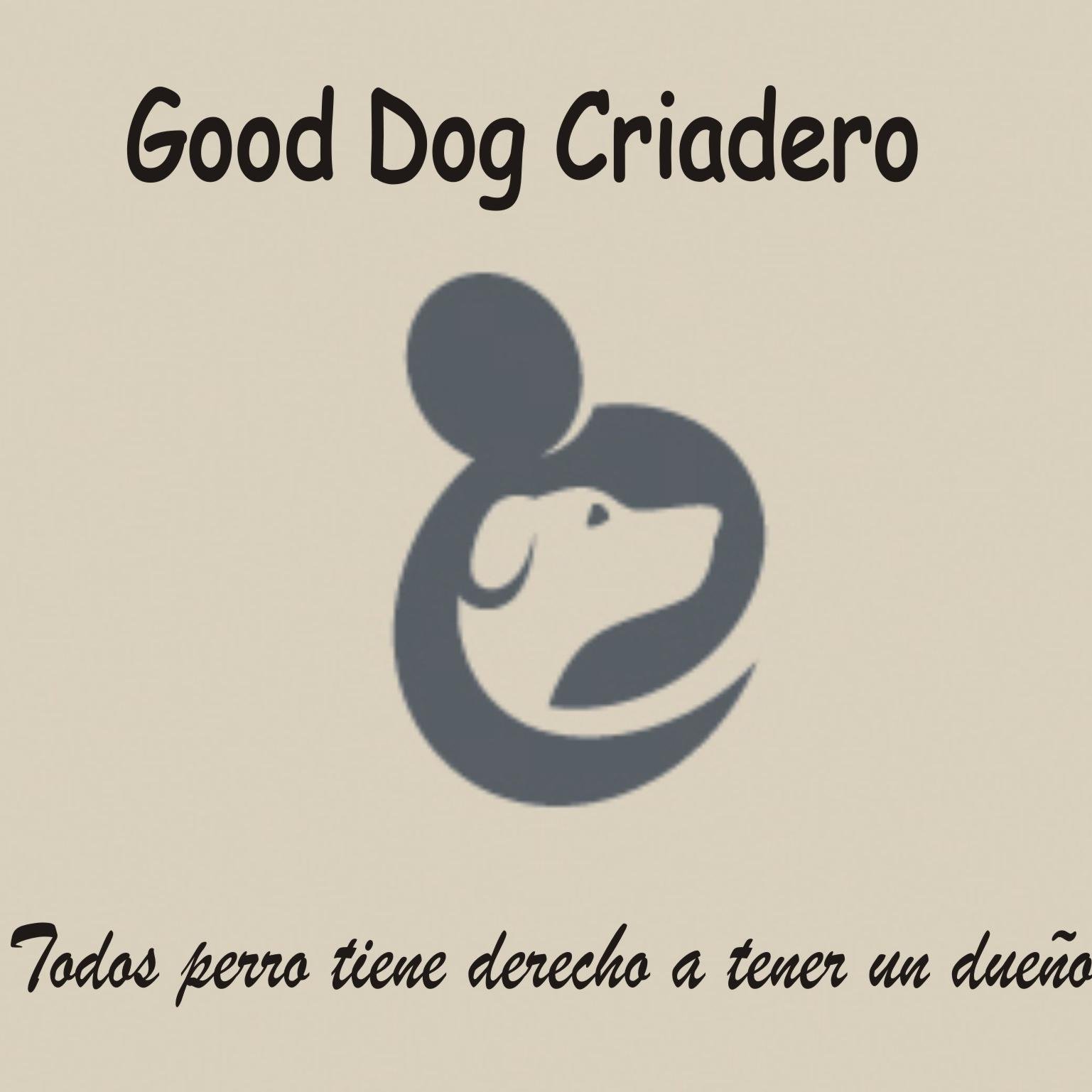 venta de mascota