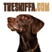 Whether you work dogs, show dogs, breed dogs, have a dog related business or simply love your dog, http://t.co/4mc614BZNA is for you.