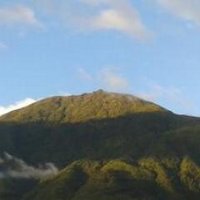 rocco clarizio (@rrclarizio) 's Twitter Profile