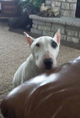 krissijosie's profile picture. 