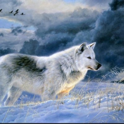 White Fang....