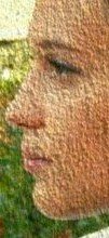 Gaia Gaudenzi Profile