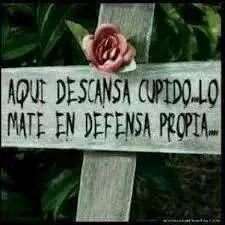 Me sigues te sigo.