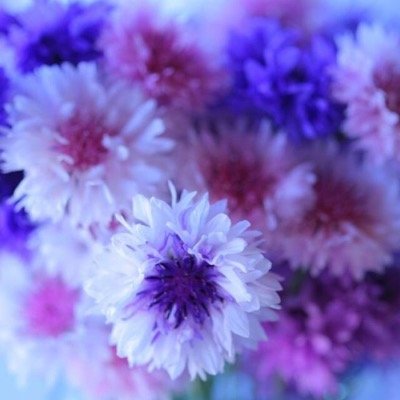 畠山美里 Misapan55 Twitter