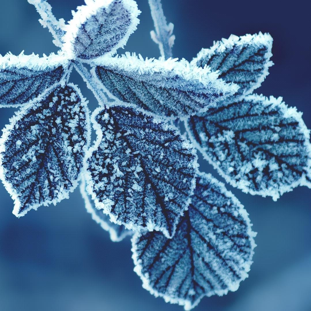 xxasians1nxx's profile picture. 