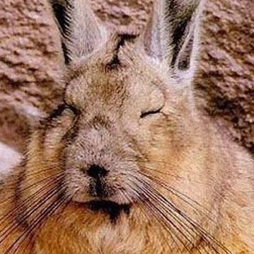 ぽさんのプロフィール画像