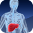 All about liver transplants and current news.