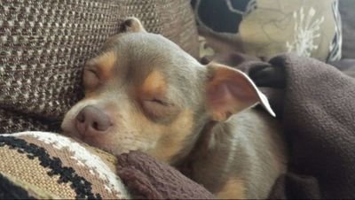 DarrenSanderson's profile picture. Computer Design