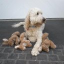 Vivian Decker - @Viviandeck - Twitter