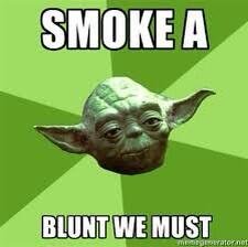 dalton_w_slater's profile picture. 