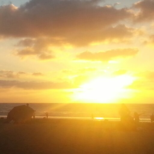 mzsunshine37's profile picture. 