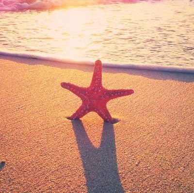 ClaudiaJesika's profile picture. Jesus Christ