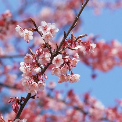 sugarsex_sex's profile picture. 친구한테 걸린듯; 잠잠해지면 다시 올게요 잠시 잠수