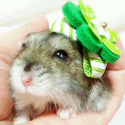 ma_amsp5's profile picture. 