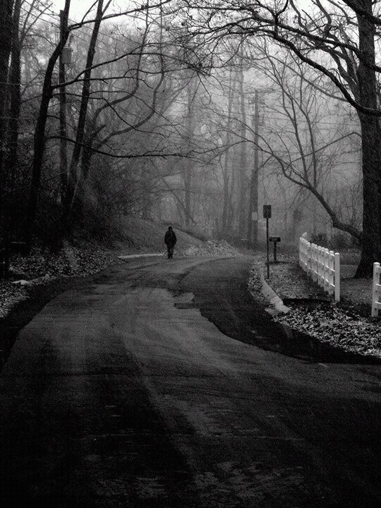 servantess1's profile picture. 