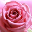 florence - @florence4peace - Twitter