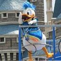 ミッキー (@tdrfanmickey) Twitter profile photo