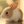 Cute Animal Pics (@CuteAnimalsBaby) profile picture