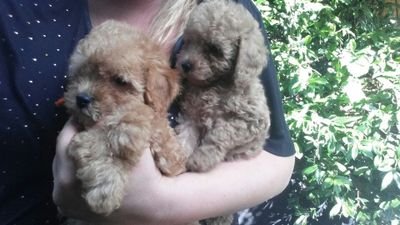 74aef43449d54dc's profile picture. 