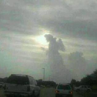 mysTerriOkie's profile picture. 