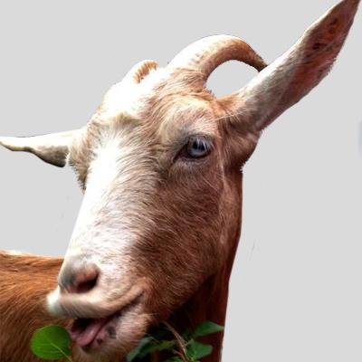 Perfil oficial de la concursante más cabrona de Gran Hermano 15.