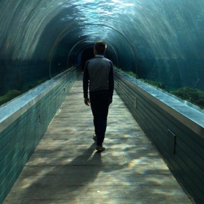 JimMe55's profile picture. 1st place never settle for less