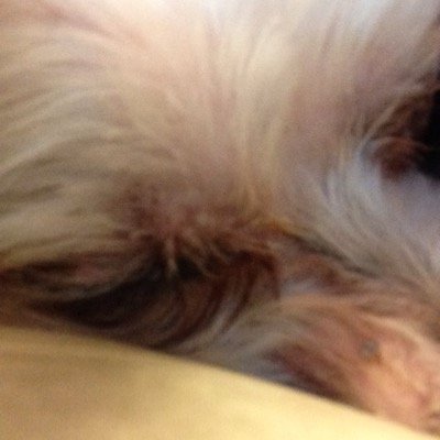 視床出血で左半身片麻痺 有り余る時間を使ってGoogleちゃんとAlexaちゃんと遊んでます いま視床痛とスマートハウスを目指して悪戦苦闘中