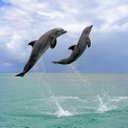 veronica fausto - @MydasTo - Twitter