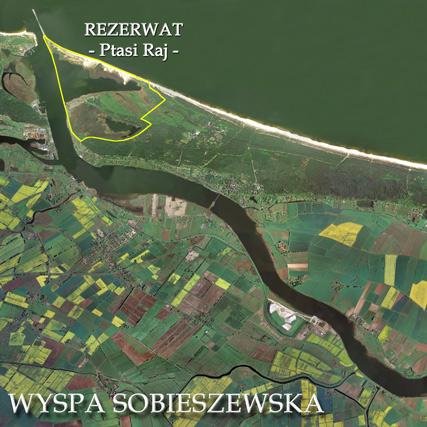 Poławiacz bursztynu z Wyspy Sobieszewskiej to projekt skierowany do pasjonatów przyrody oraz turystów wypoczywających w zakątkach Wyspy Sobieszewskiej.