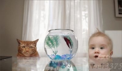 GiuliaIanni's profile picture. msp sims 4 lps j'aime !!!!!