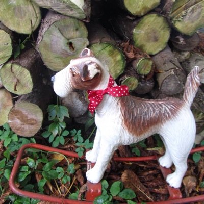 rocking_dog's profile picture. Maker of magical things to give, covet & scoff. Website - http://t.co/jzYNoa6yjk Facebook - http://t.co/OwJeuqHdIX for more info