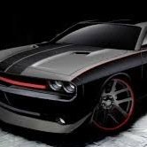 knight_hawk787's profile picture. Into everything, pretty much about anything!!! 

  Follow or unfollow me.

 Mission:- Will keep Following...