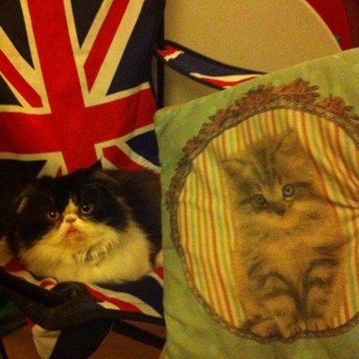 james_hiskey's profile picture. 