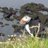 marije2012's profile image