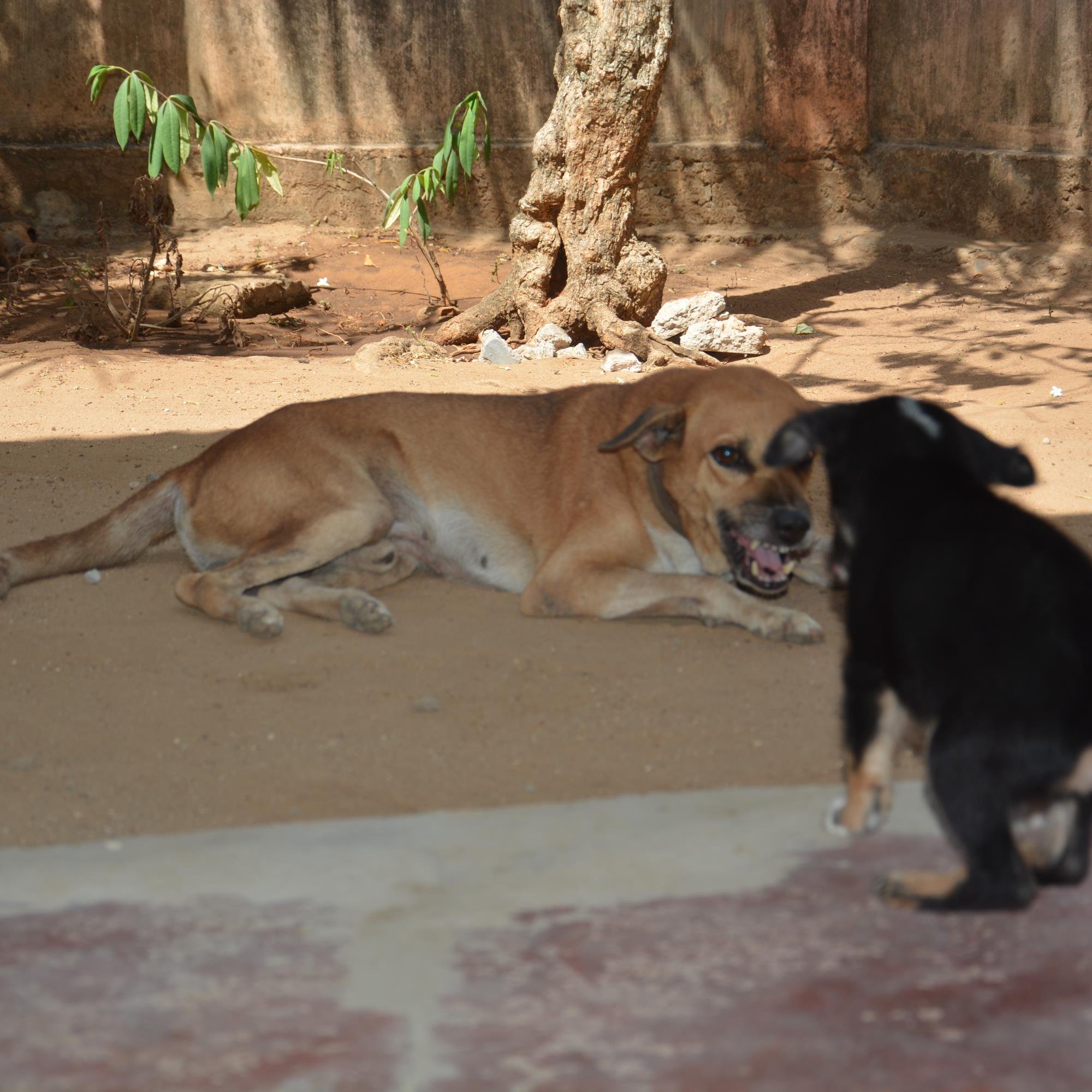 bng04858199's profile picture. 