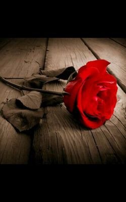 I love romance and look for everything that is romantic and beautiful