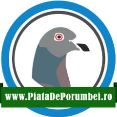 piatadeporumbei's profile picture. M