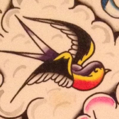 Since 1989~ Owner Tim Hendricks ~ Artists: John Troeller, Bill Wang, Jose Araujo, Gabe Muñoz, Javier DeLuna, Bucky Crispin, Miles Foxworthy, Bryan Black