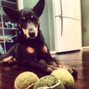 Ian Hendry - @ianphendry - Twitter