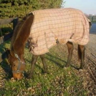 rickhines50's profile picture. 