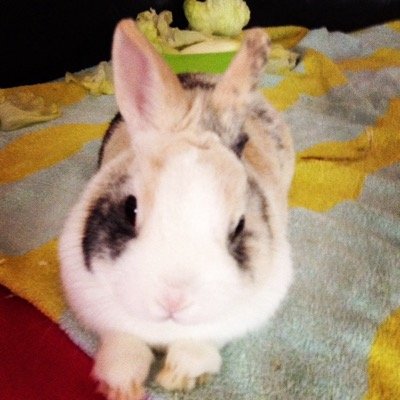 WelterBen's profile picture.