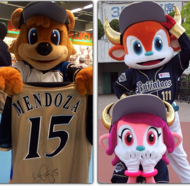FsとBsが好き。Fs ＃15 ＃5 ＃38  Bs＃31 ＃26 ＃23 ＃35 ＃58
高橋信二コーチが現役時代の時から好き。MLBと女子野球応援中。球団マスコット好き。ネッピー＆リプシー大好きでした。 フォロバ追いつかなくてすみません。 UPした画像の転載、二次使用、加工はお断りさせていただいております。