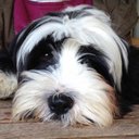 Andrew Darby - @andydarby2 - Twitter