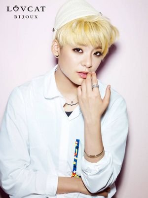 f(x) papan triplek