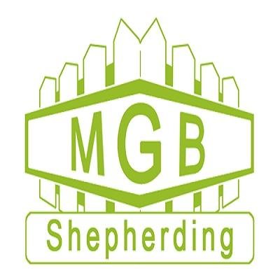 MGBShepherdingP's profile picture. 1 Fortingall Place, Perth, Perthshire, PH1 2NF.

07872907163