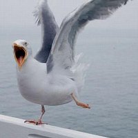 Brighton Weather (@limitedweather) 's Twitter Profile Photo