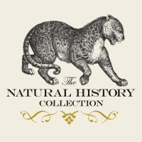NaturalHistoryMuseum (@nhmcollection) Twitter profile photo